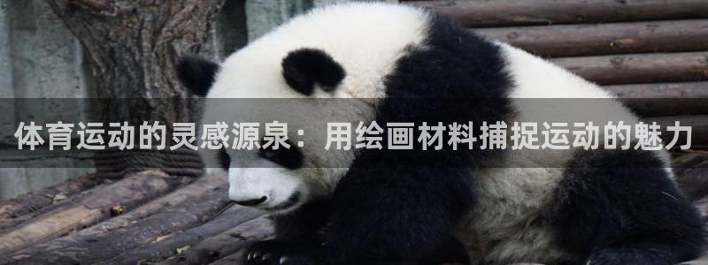 fb体育招商电话地址:体育运动的灵感源泉:用绘画材料捕捉运动