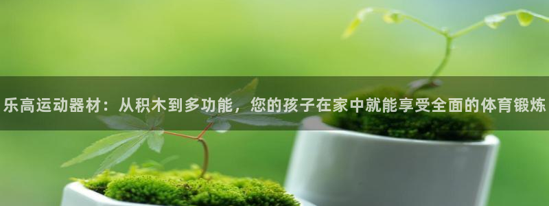 fb体育招商电话地址查询:乐高运动器材:从积木到多功能,您的