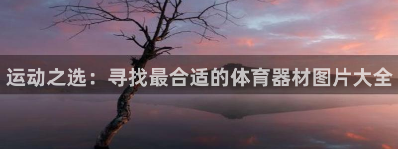 fb体育神州:运动之选:寻找最合适的体育器材图片大全